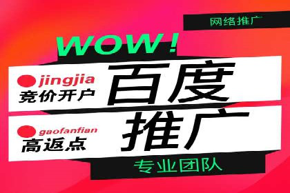 百度推广公司案例分享：助力企业实现多渠道营销